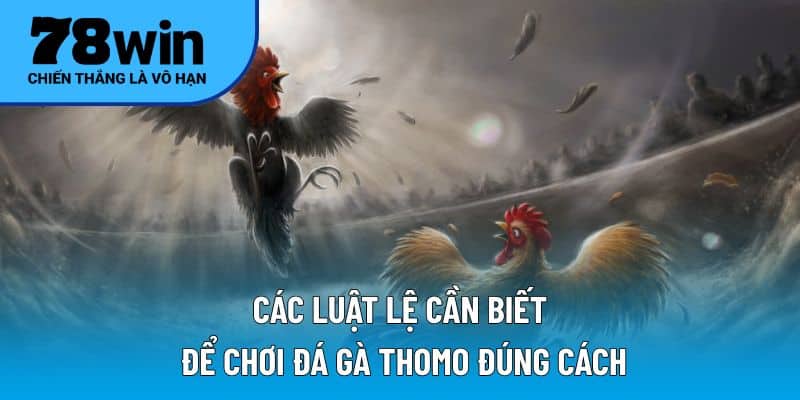 Các luật lệ cần biết để chơi đá gà Thomo đúng cách